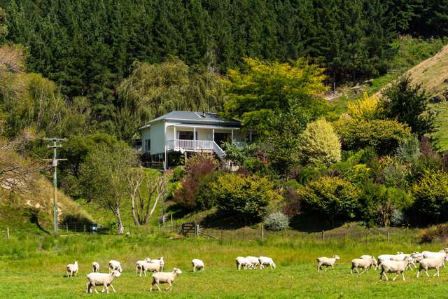 143 Onamalutu Road Wairau Valley_1