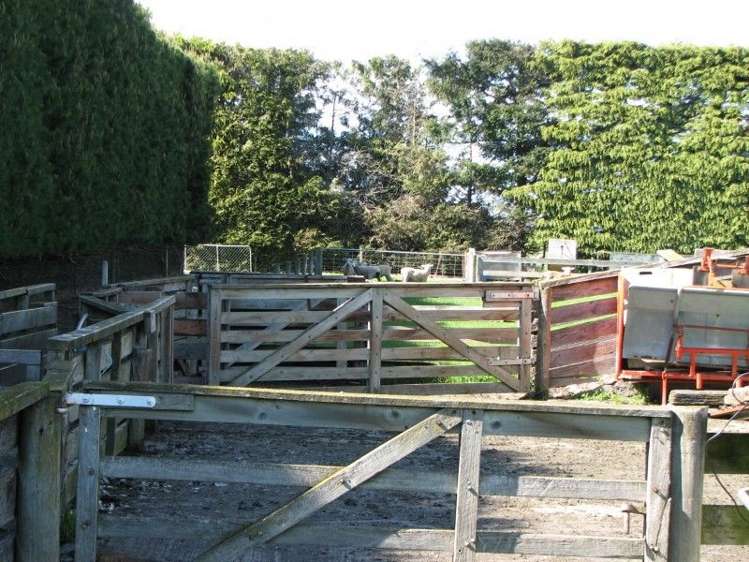 400 Ashburton Staveley Road Greenstreet_7