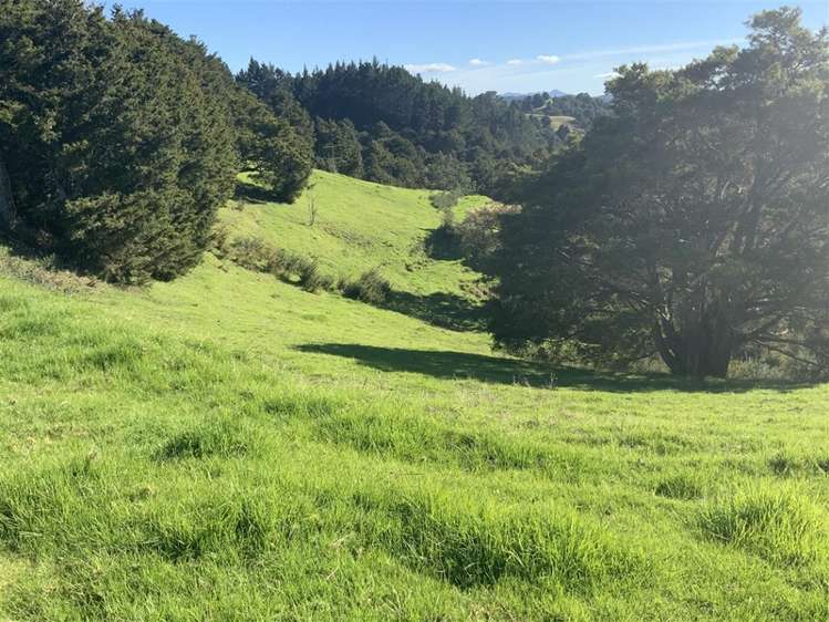 200 Central Road Mareretu_9