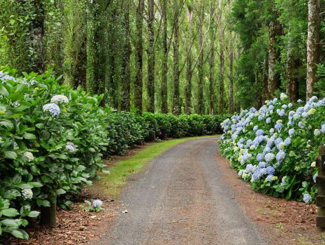 58 Rawaka Drive Katikati_2