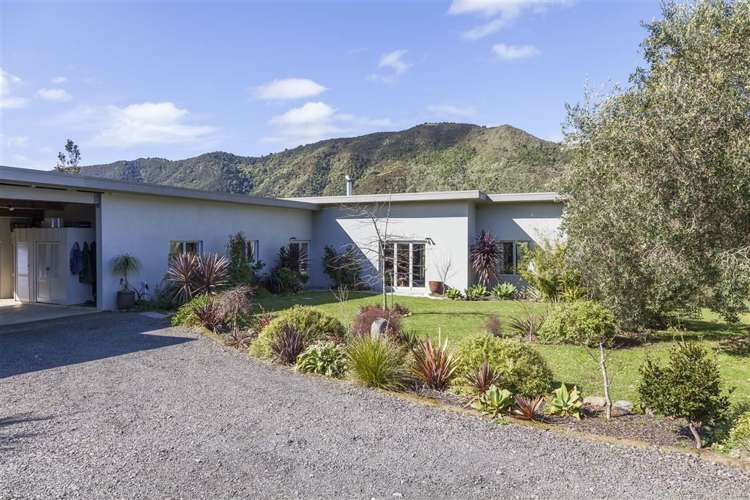 77 Packtrack Road Thames_5