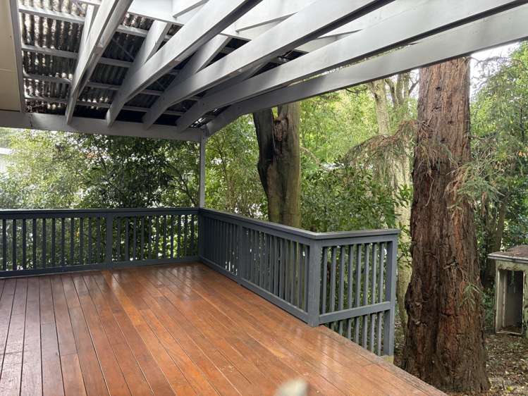 206 Albert Street Hokowhitu_6