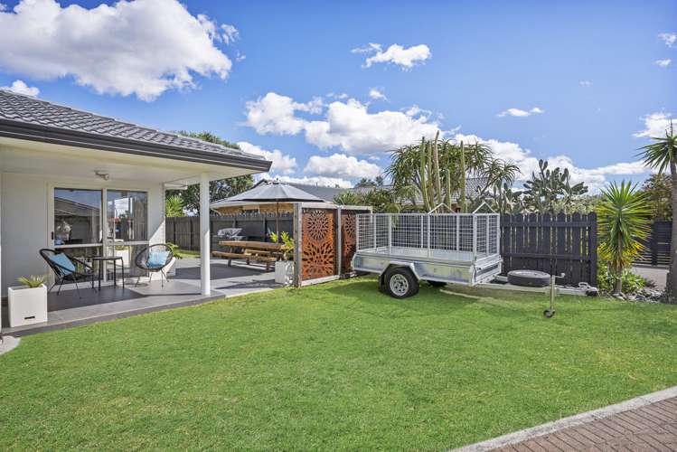 24b Hibiscus Avenue Mount Maunganui_14