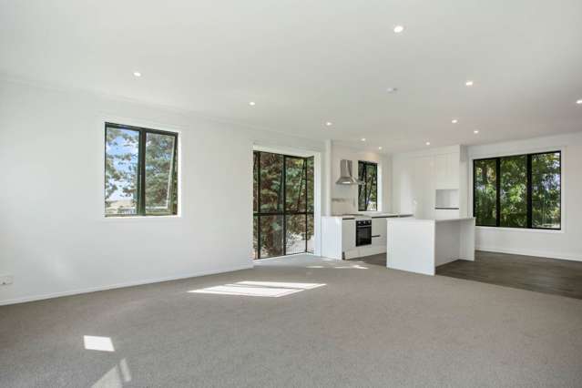 1/1 Ambrico Place New Lynn_2