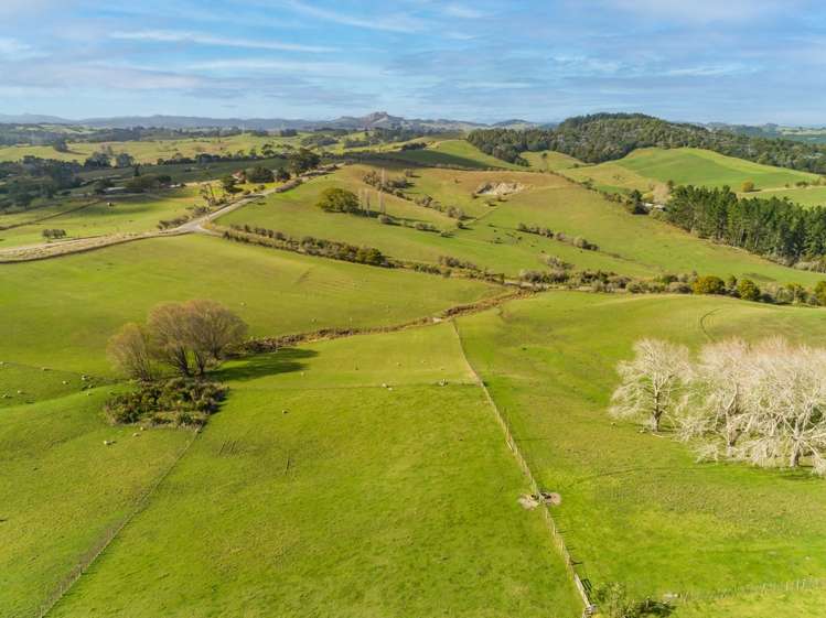 217 Underwood Road Wellsford_20