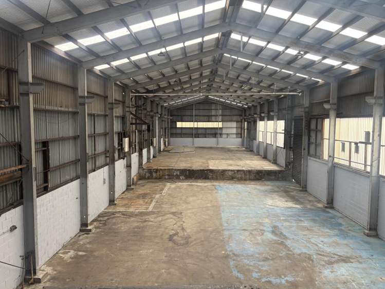 589 Rosebank Road Avondale_8