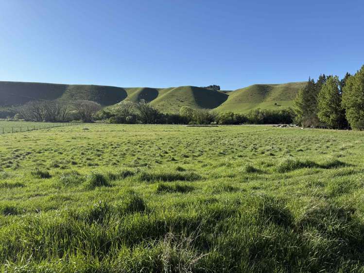 633 Ardgour Road Tarras_5