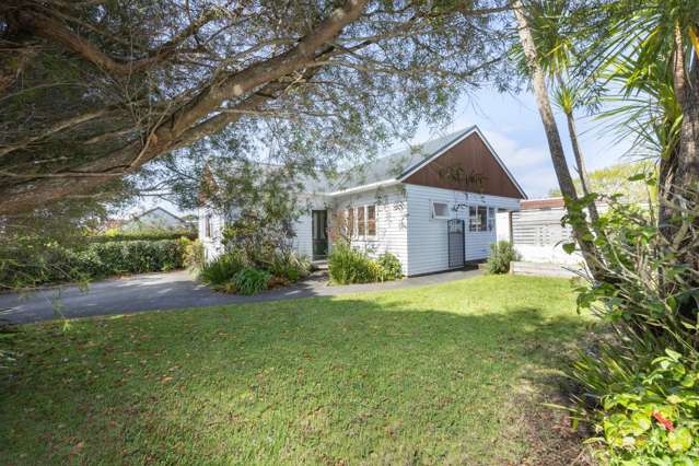 52 Fruitvale Road New Lynn_4