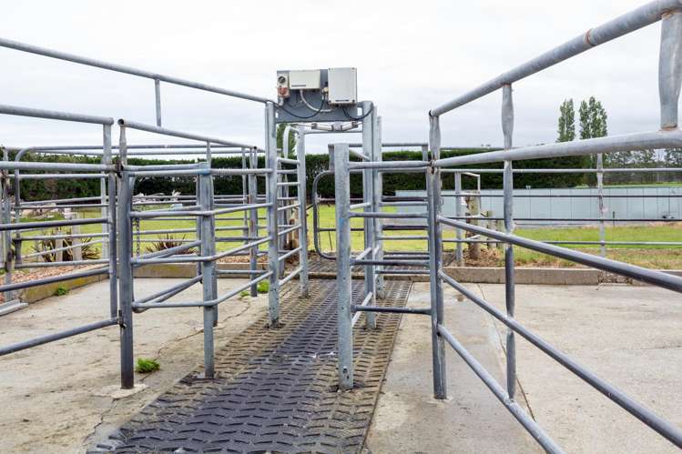 94 Brogdens Road Lowcliffe_20