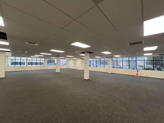 Whole Building/19 Lambie Drive Manukau_3