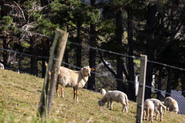 45C Robinson Road Coatesville_12