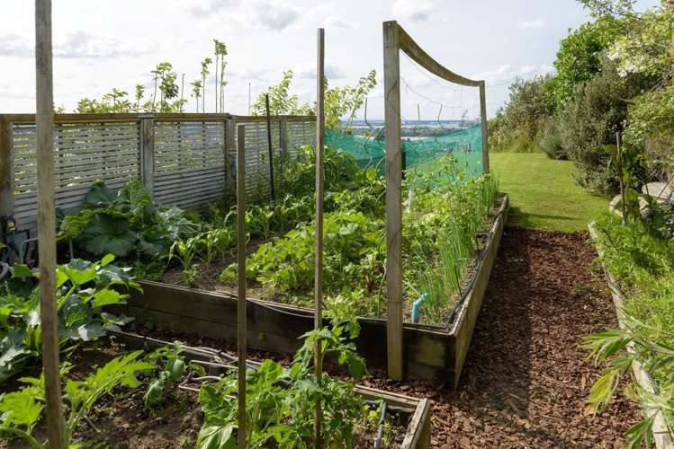 7 Aurora Avenue Welcome Bay_14