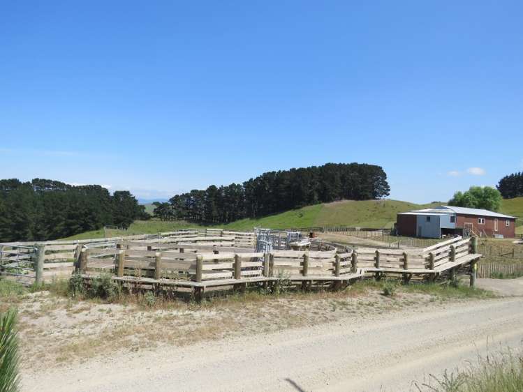 602 Esdaile Road Pongaroa_10