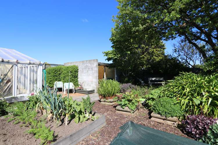 145 Elizabeth Street Appleby_33