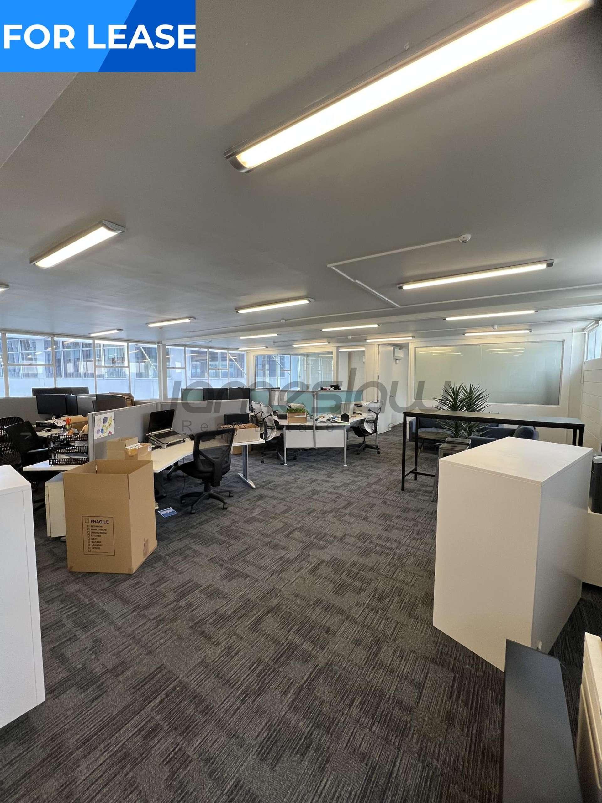 2/21 Graham Street City Centre_0