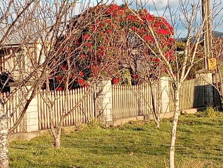 5 Papatotara Road Tuatapere_26