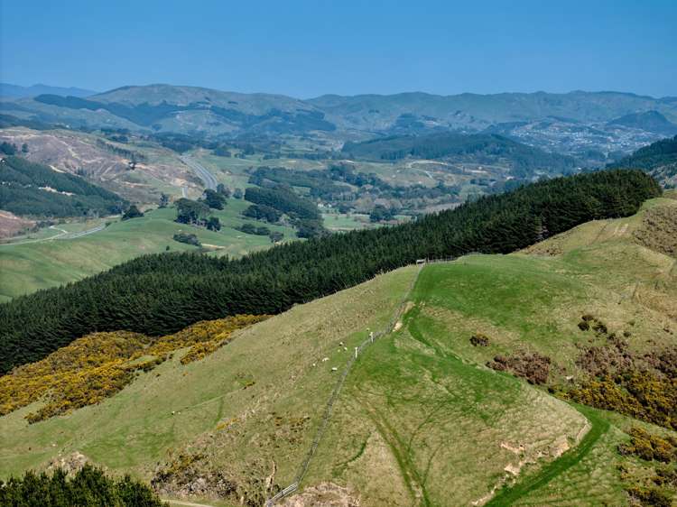 850A Paekakariki Hill Road Paekakariki Hill_30