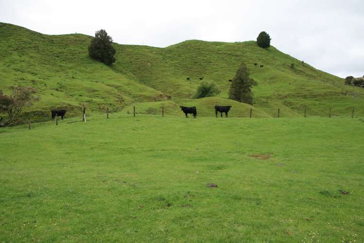 200 Tahora Road Tahora_12