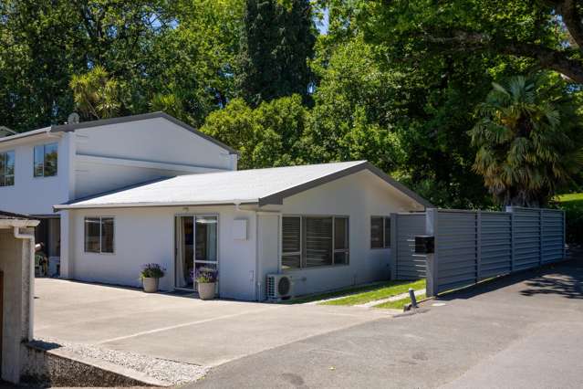 1/35 Van Diemen Street Nelson South_2