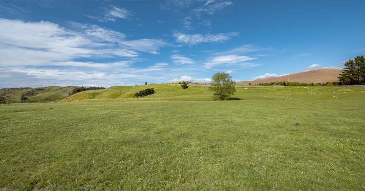 7797 State Highway 1 Ward_25