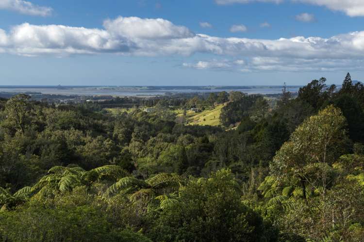 504b Lockington Road Aongatete_5