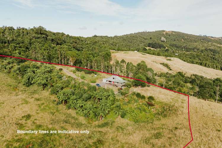 State Highway 12 Waimamaku_20