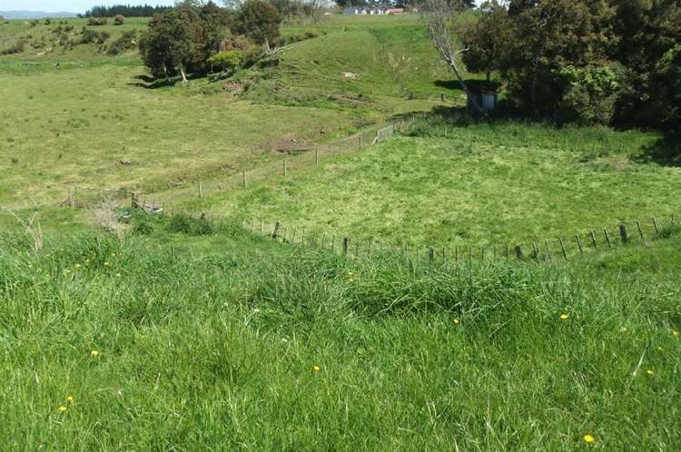 24 Ryland Park Levin_14