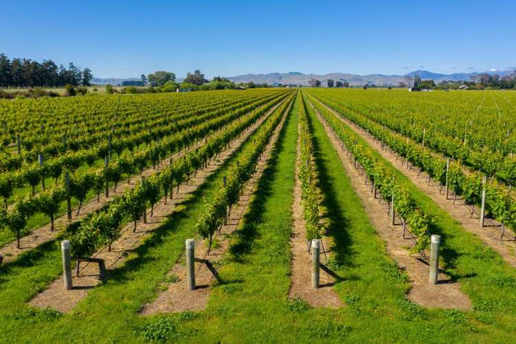 263 Chaytors Road Spring Creek_10