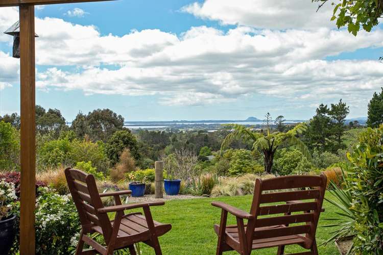 44a Tye Road Katikati_20