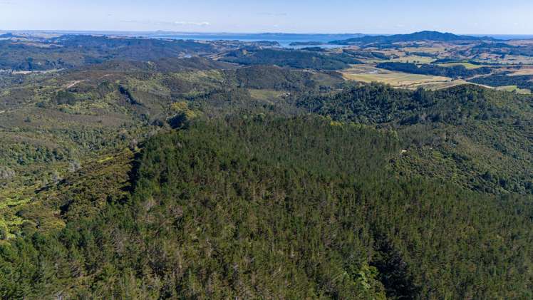 Lot 2 Goshen Valley Road Mangonui_17