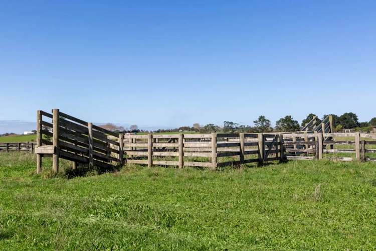 94 Sanctuary Drive Glenbrook_9