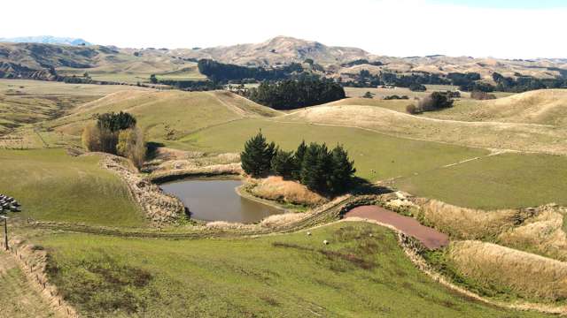 830 Weber Road Dannevirke_1