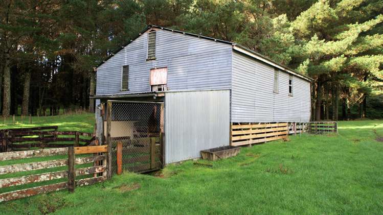 4501 State Highway 4 Waimiha-Ongarue_9