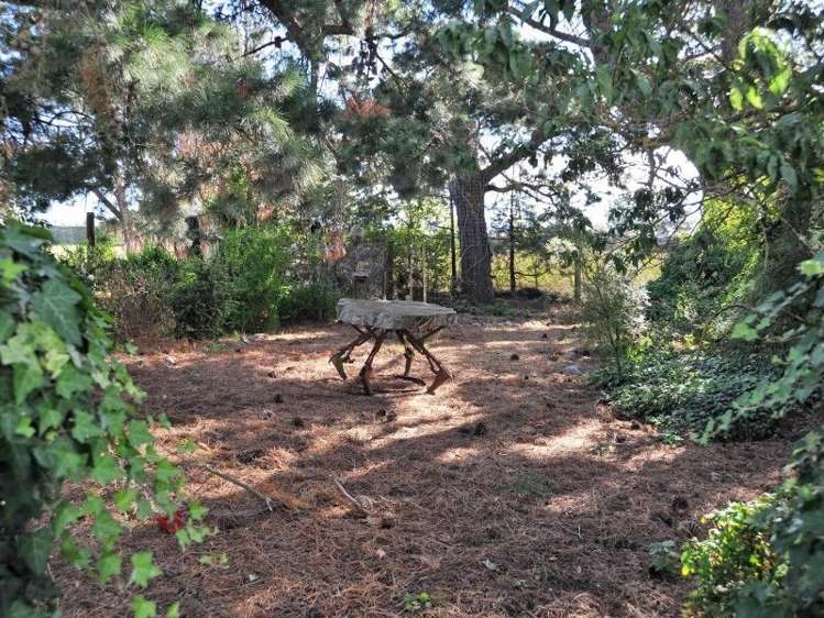 517 Medbury Road Hawarden_18