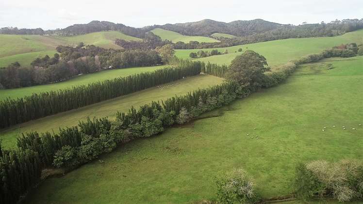 59F Riddell Road Kerikeri_4