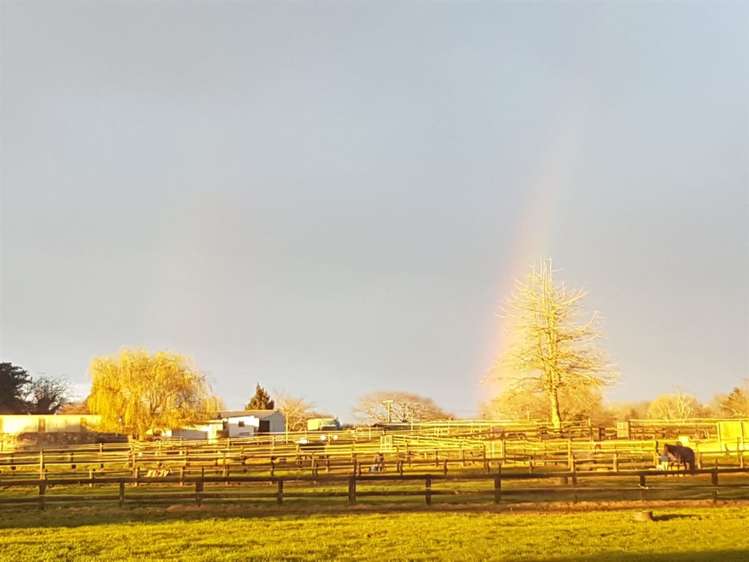 32 Banks Road Matamata_18