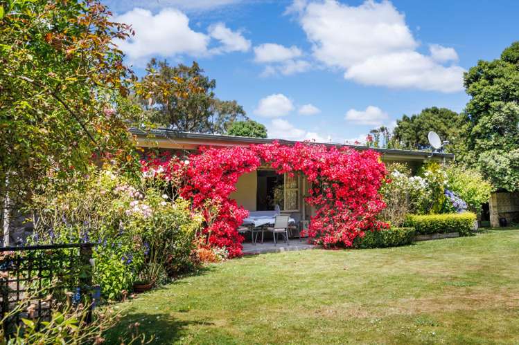 1498 Napier Road Ashhurst_15