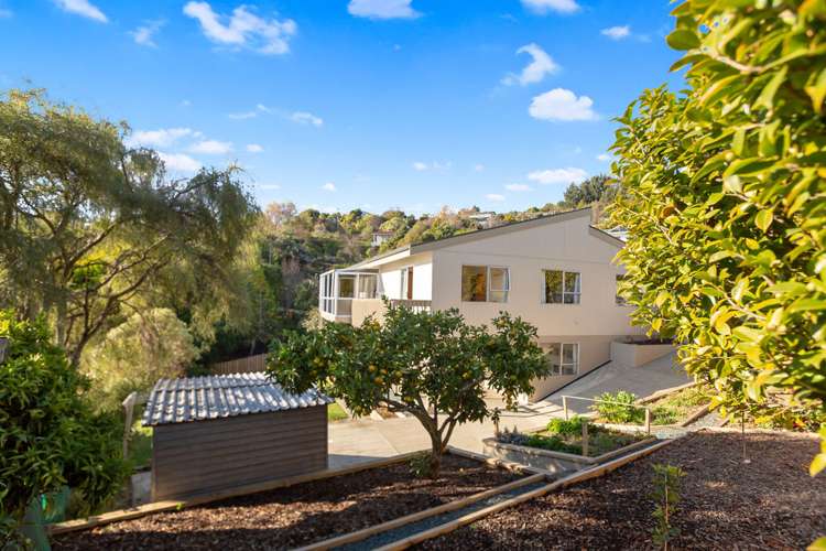 54 Chamberlain Street Tahunanui_1