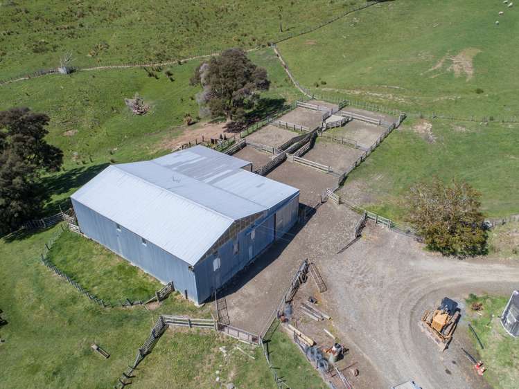 2612 Masterton Castlepoint Road Mangapakeha_8