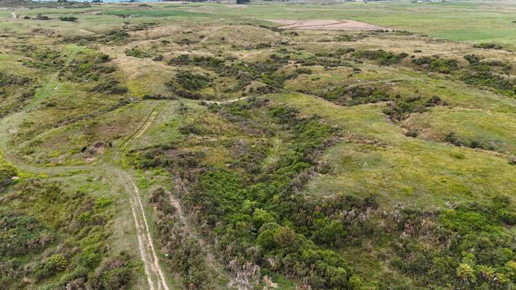 980 Wilsons Lead Road Cape Foulwind_6