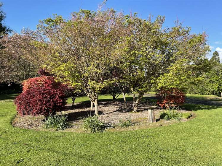 108c Ferguson Road Whatawhata_40