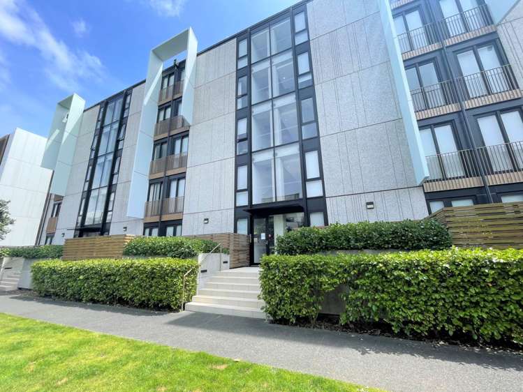 204/1 Bluegrey Avenue Stonefields_0