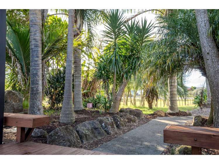 530 Waimate North Road Kerikeri_5