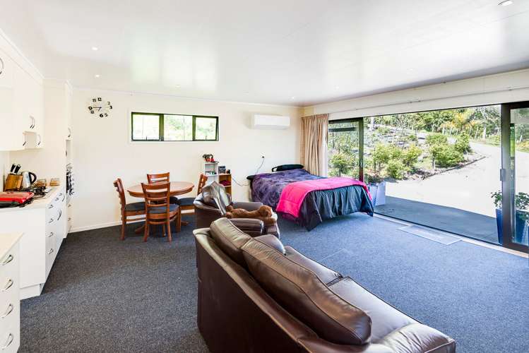 101 Darwin Road Outer Kaiti_21