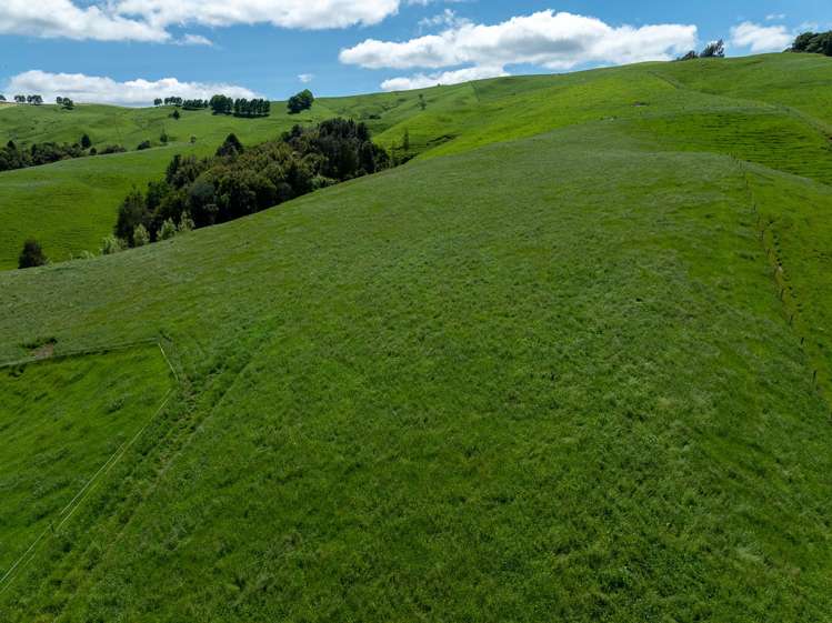 1/400 Brunskill Road Cambridge_24