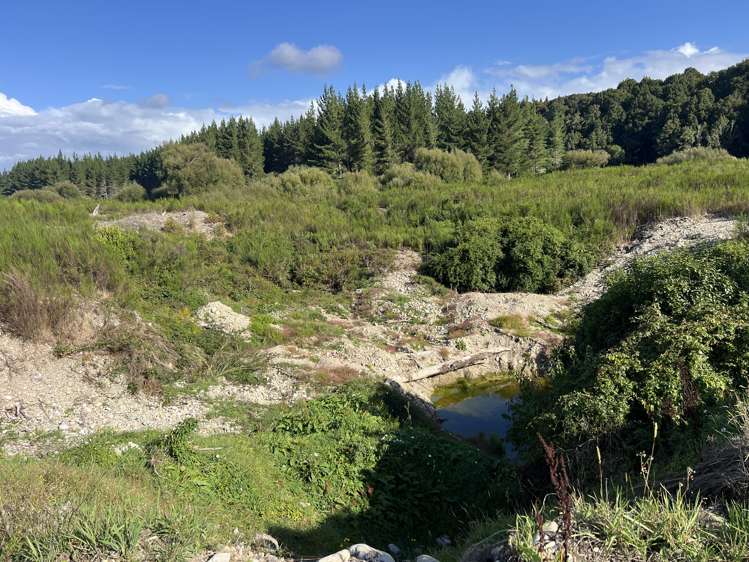 Lot . Red Jacks Road Ngahere_6