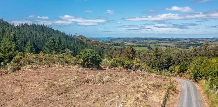 Wright Road Matakana_3