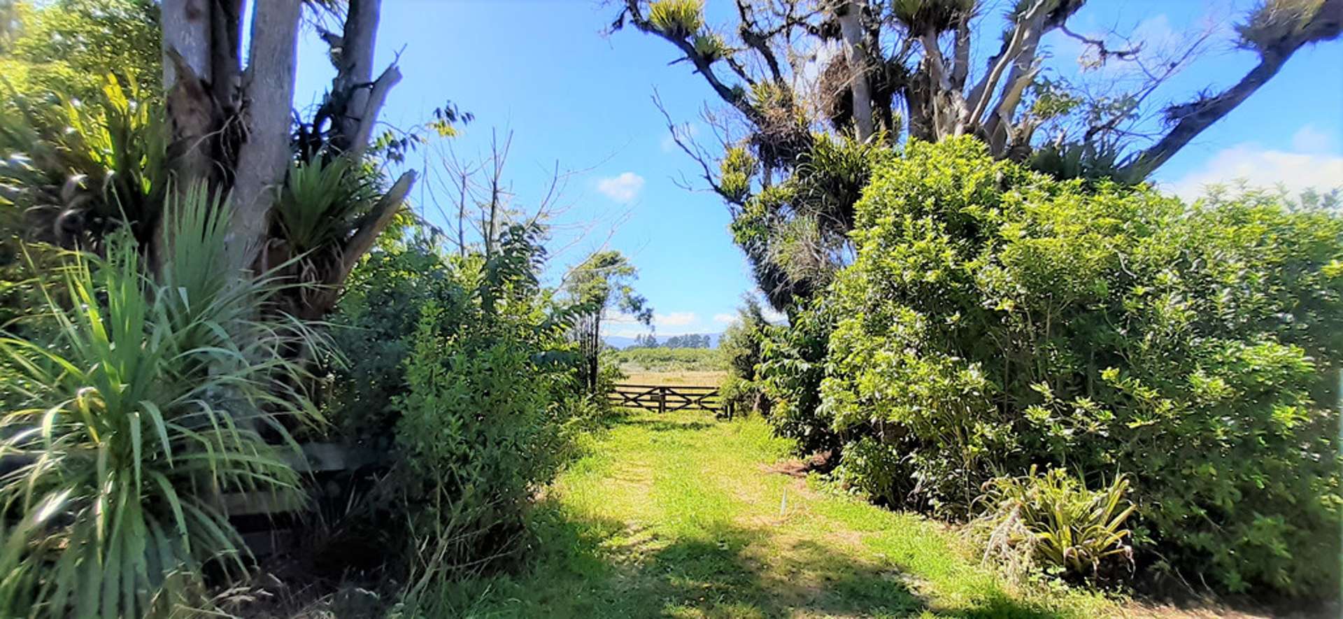 111 Snodgrass Road Te Puna_0