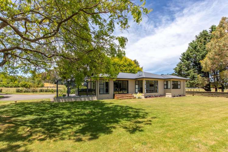 227 Tipapakuku Road Dannevirke_14