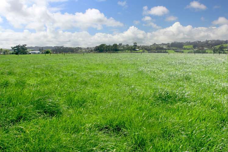 23 Rogan Avenue Helensville_7